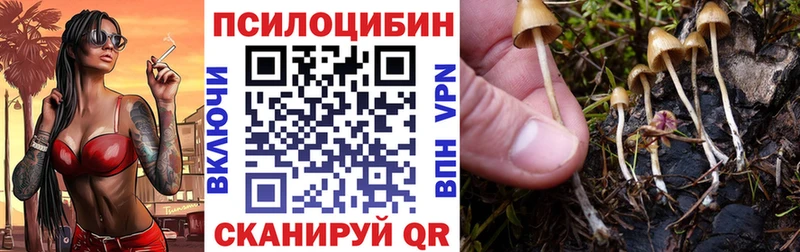 Купить закладки  Сосновоборск  Псилоцибиновые грибы Magic Shrooms 